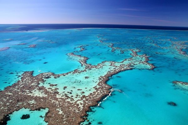 Visit the Great Barrier Reef, one of seven natural wonders of the world